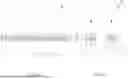 Fig. 06 - STRAIN ENGINEERING FOR COMPLEMENTARY FIELD-EFFECT TRANSISTOR DEVICES