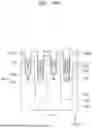 Fig. 25 - INTEGRATED CIRCUIT DEVICE