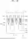 Fig. 26 - INTEGRATED CIRCUIT DEVICE