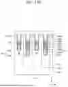 Fig. 28 - INTEGRATED CIRCUIT DEVICE
