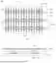 Fig. 02 - ARRAY SUBSTRATE AND METHOD FOR MANUFACTURING SAME, AND DISPLAY PANEL