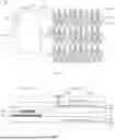 Fig. 04 - ARRAY SUBSTRATE AND METHOD FOR MANUFACTURING SAME, AND DISPLAY PANEL