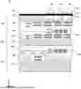 Fig. 01 - IMAGE CAPTURING DEVICE AND IMAGE CAPTURING APPARATUS