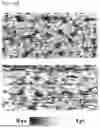 Fig. 22 - STRETCHABLE SEMICONDUCTOR FILM WITH BIOCOMPATIBILITY AND BIO-IMPLANTABLE ELECTRONIC DEVICE USING THE SAME