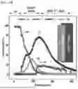 Fig. 28 - STRETCHABLE SEMICONDUCTOR FILM WITH BIOCOMPATIBILITY AND BIO-IMPLANTABLE ELECTRONIC DEVICE USING THE SAME
