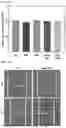 Fig. 43 - STRETCHABLE SEMICONDUCTOR FILM WITH BIOCOMPATIBILITY AND BIO-IMPLANTABLE ELECTRONIC DEVICE USING THE SAME