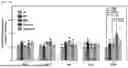 Fig. 45 - STRETCHABLE SEMICONDUCTOR FILM WITH BIOCOMPATIBILITY AND BIO-IMPLANTABLE ELECTRONIC DEVICE USING THE SAME