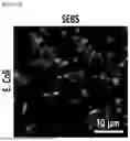 Fig. 49 - STRETCHABLE SEMICONDUCTOR FILM WITH BIOCOMPATIBILITY AND BIO-IMPLANTABLE ELECTRONIC DEVICE USING THE SAME