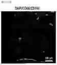 Fig. 65 - STRETCHABLE SEMICONDUCTOR FILM WITH BIOCOMPATIBILITY AND BIO-IMPLANTABLE ELECTRONIC DEVICE USING THE SAME