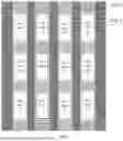 Fig. 02 - DISPLAY PANEL, METHOD FOR MANUFACTURING SAME, AND DISPLAY DEVICE