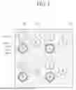Fig. 08 - Electoluminescent Display Device