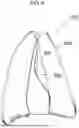 Fig. 09 - WEARABLE BEVERAGE CONTAINER HOLDER