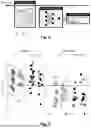 Fig. 03 - METHOD FOR CLASSIFYING ELECTROENCEPHALOGRAPHY DATA WITH THE USE OF ARTIFICIAL NEURAL NETWORKS