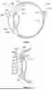 Fig. 02 - INTRAOCULAR IMPLANTS AND METHODS FOR IMPLANTING INTRAOCULAR IMPLANTS