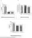 Fig. 01 - QUERCETAGETIN ENRICHED MARIGOLD EXTRACTS, COMPOSITIONS, METHODS OF PREPARATION AND USE THEREOF