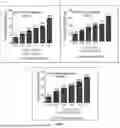Fig. 03 - QUERCETAGETIN ENRICHED MARIGOLD EXTRACTS, COMPOSITIONS, METHODS OF PREPARATION AND USE THEREOF