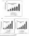 Fig. 04 - QUERCETAGETIN ENRICHED MARIGOLD EXTRACTS, COMPOSITIONS, METHODS OF PREPARATION AND USE THEREOF