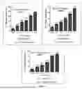 Fig. 05 - QUERCETAGETIN ENRICHED MARIGOLD EXTRACTS, COMPOSITIONS, METHODS OF PREPARATION AND USE THEREOF