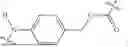 Fig. 06 - EXATECAN IMMUNOCONJUGATES