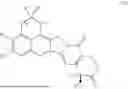 Fig. 09 - EXATECAN IMMUNOCONJUGATES