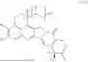 Fig. 19 - EXATECAN IMMUNOCONJUGATES