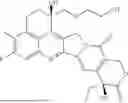 Fig. 77 - EXATECAN IMMUNOCONJUGATES