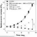 Fig. 01 - FLUORESCENT COMPOUNDS FOR ACCELERATED CANCER THERANOSTIC
