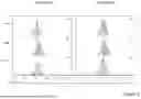 Fig. 06 - IMMUNOREACTIVE MOLECULES AND USES THEREOF