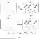 Fig. 02 - PROCESS FOR PREPARATION OF MONODISPERSE PARTICLES