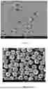 Fig. 04 - PROCESS FOR PREPARATION OF MONODISPERSE PARTICLES