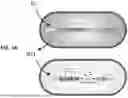 Fig. 03 - HIGH-THROUGHPUT METHODS FOR ISOLATING AND CHARACTERIZING AMMONIUM-EXCRETING MUTANT LIBRARIES GENERATED BY CHEMICAL MUTAGENESIS