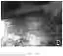 Fig. 08 - METHOD FOR THE INTERNAL INSPECTION OF STORAGE TANKS
