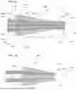 Fig. 02 - WAVELENGTH DIVISION MULTIPLEXERS FOR SPACE DIVISION MULTIPLEXING (SDM-WDM DEVICES)