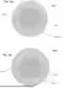 Fig. 09 - WAVELENGTH DIVISION MULTIPLEXERS FOR SPACE DIVISION MULTIPLEXING (SDM-WDM DEVICES)