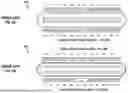 Fig. 03 - TRIPLE PLUG UNIVERSAL SERIAL BUS (USB) CABLE FOR USE WITH DATA STORAGE DEVICE WITH DUAL MEMORY SPACES