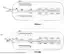 Fig. 05 - TRIPLE PLUG UNIVERSAL SERIAL BUS (USB) CABLE FOR USE WITH DATA STORAGE DEVICE WITH DUAL MEMORY SPACES