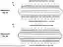 Fig. 03 - DATA STORAGE DEVICE WITH DUAL MEMORY SPACES ACCESSIBLE CONCURRENTLY BY A HOST USING DIFFERENT COMMUNICATION PROTOCOLS