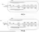 Fig. 06 - DATA STORAGE DEVICE WITH DUAL MEMORY SPACES ACCESSIBLE CONCURRENTLY BY A HOST USING DIFFERENT COMMUNICATION PROTOCOLS