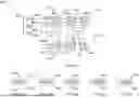Fig. 07 - ASSIGNING UNIQUE IDENTIFIERS