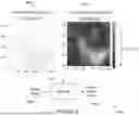 Fig. 07 - TRAINING MACHINE LEARNING-BASED MULTI-FRAME BLENDING WITH SIMULATED WARPING AND HANDHELD MOTION AUGMENTATIONS