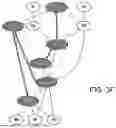 Fig. 07 - BIOINFORMATICS METHOD FOR DETERMINING THERAPEUTIC TARGET REGIONS