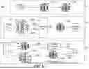 Fig. 12 - Clinical Symptom Analysis
