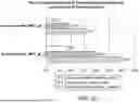 Fig. 26 - PHARMACOKINETIC MODELING SYSTEMS FOR IMPROVED THERAPEUTIC DOSING