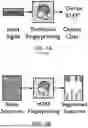 Fig. 02 - Real-Time Multi-Device Authentication Though Wideband RF Waveform