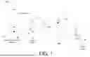 Fig. 02 - Methods And Apparatus For Handling PDU Session Re-Establishment Procedures