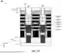 Fig. 35 - CHANNEL STRAIN ENHANCEMENT FOR STACKED MULTI-GATE DEVICES