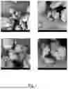 Fig. 02 - PROCESS FOR PREPARING A COFFEE PRODUCT