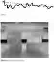 Fig. 08 - A MOULDED AEROSOL-GENERATING MATERIAL IN THE FORM OF ONE OR MORE NON-LINEAR STRANDS