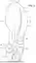 Fig. 21 - SOLE STRUCTURE FOR ARTICLE OF FOOTWEAR
