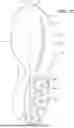 Fig. 22 - SOLE STRUCTURE FOR ARTICLE OF FOOTWEAR